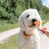 Trixie Premio lolly met kip en rijst