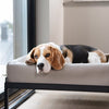 Bia air frame voor bed zwart