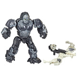 Hasbro Transformers Rise of the Beasts Weaponizer Actiefiguren Optimus Primal Arrowstripe - afbeelding 4