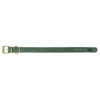 Trixie halsband hond pure leer saliegroen