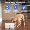 Petsafe drinkfontein viva