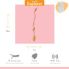 Happy pet tabby patch wortel bungee