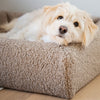 Bia bed premium hoes teddy beige