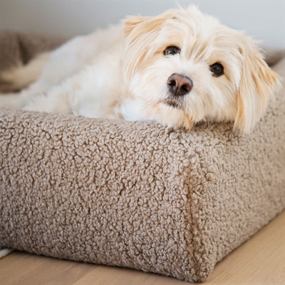 Bia bed premium hoes teddy beige