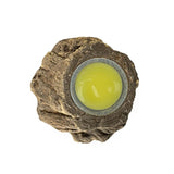 Back zoo nature fruitcup houder bark-look assorti - afbeelding 2