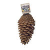 Back zoo nature foraging pine cone