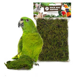 Back zoo nature forest moss - afbeelding 2