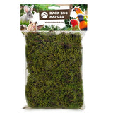 Back zoo nature forest moss - afbeelding 1