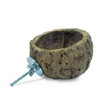 Back zoo nature discovery bowl - afbeelding 1