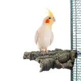 Back zoo nature corky chew - afbeelding 2
