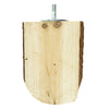 Back zoo nature wood slice perch