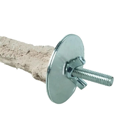 Back zoo nature super stone perch