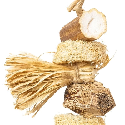 Back zoo nature snack stack