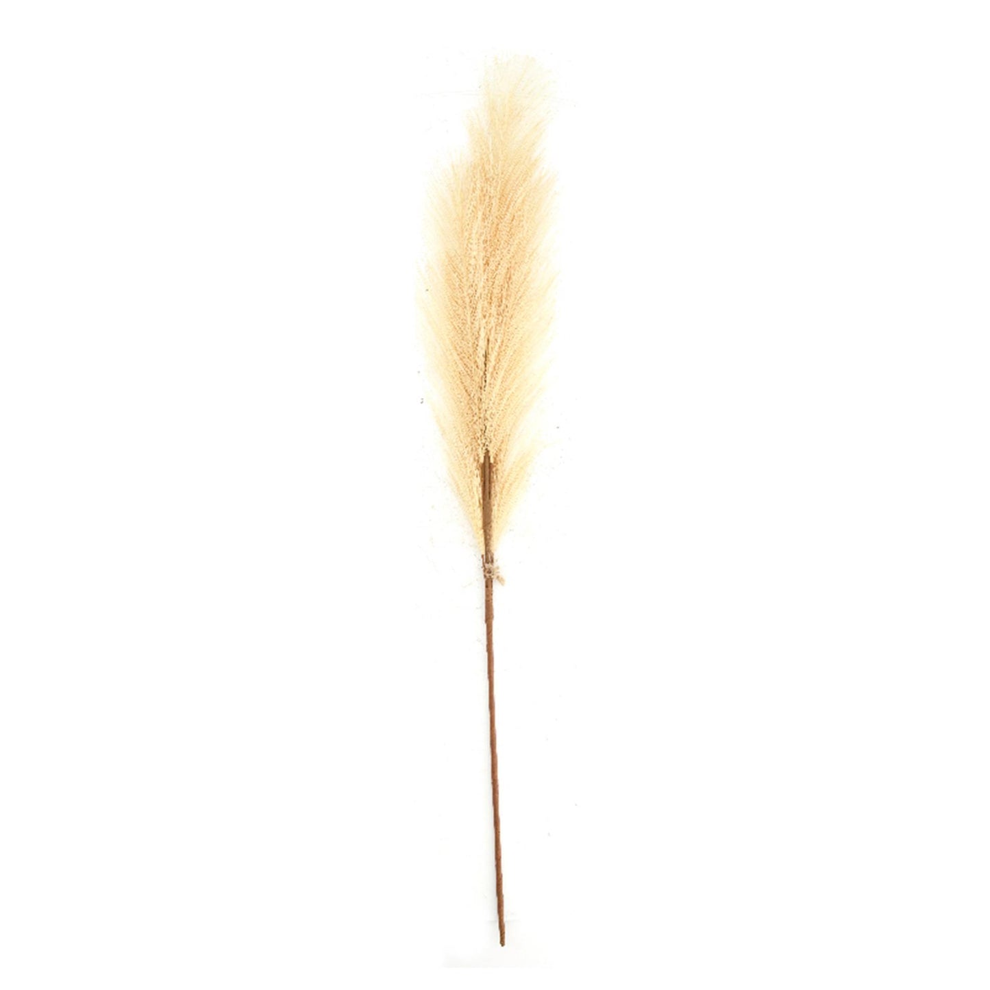Dijk natural collections kunstbloem pluim 77x8x3cm beige