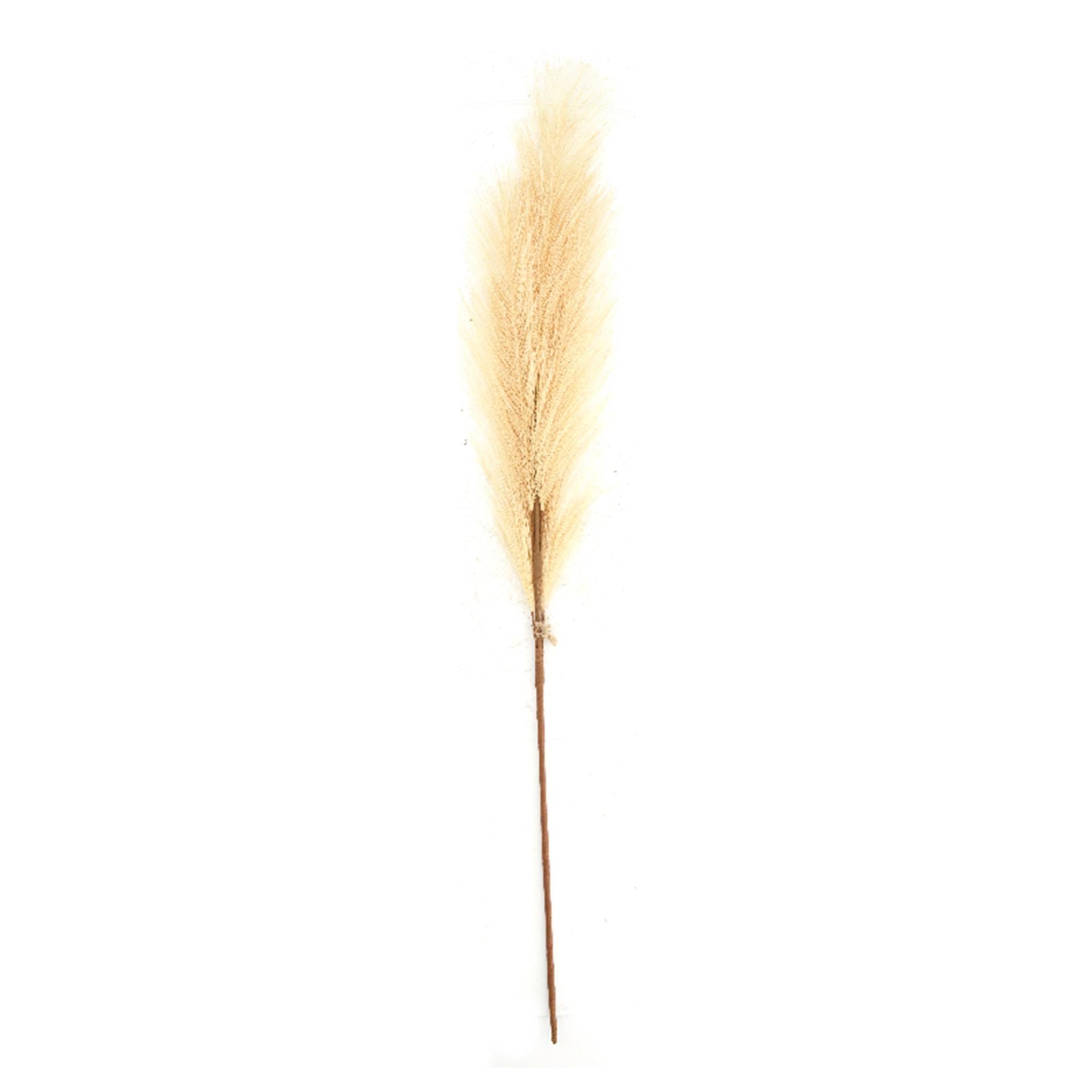 Dijk natural collections kunstbloem pluim 77x8x3cm beige