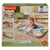 Fisher price panada rol en speelmat - afbeelding 1