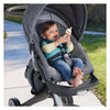 Fisher price bijt rammelaar eend