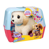 Little live pets ouchies puppy cooper - interactieve knuffel - afbeelding 2
