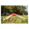 Bs toys boomerang