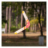 Bs toys boomerang