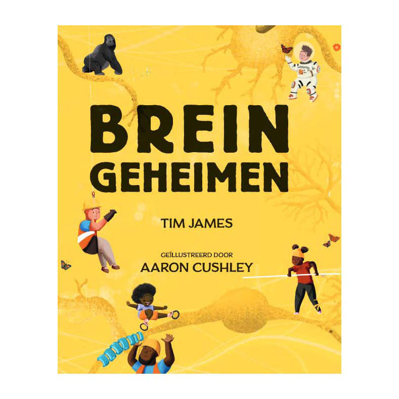 Uitgeverij kluitman breingeheimen