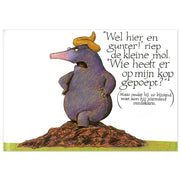 Centraal boekhuis over een kleine mol die wil weten wie er op zijn kop gepoept - afbeelding 3