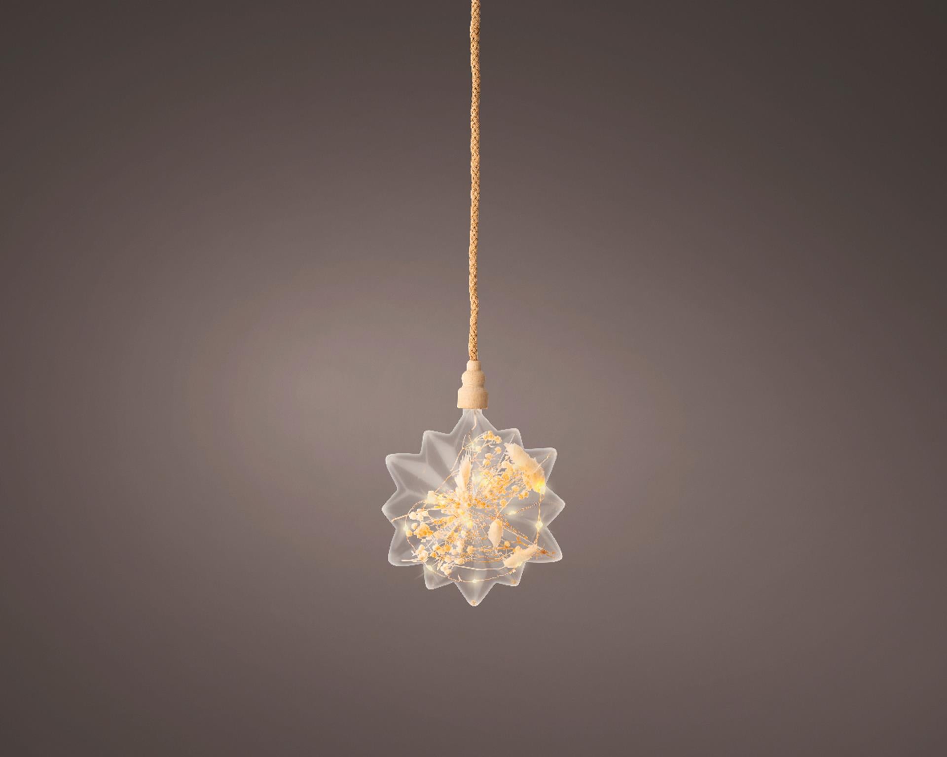 Lumineo micro led ster met droogbloemen ø 19cm