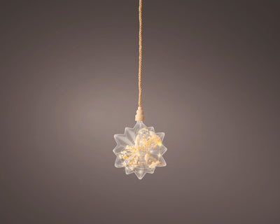 Lumineo micro led ster met droogbloemen ø 19cm