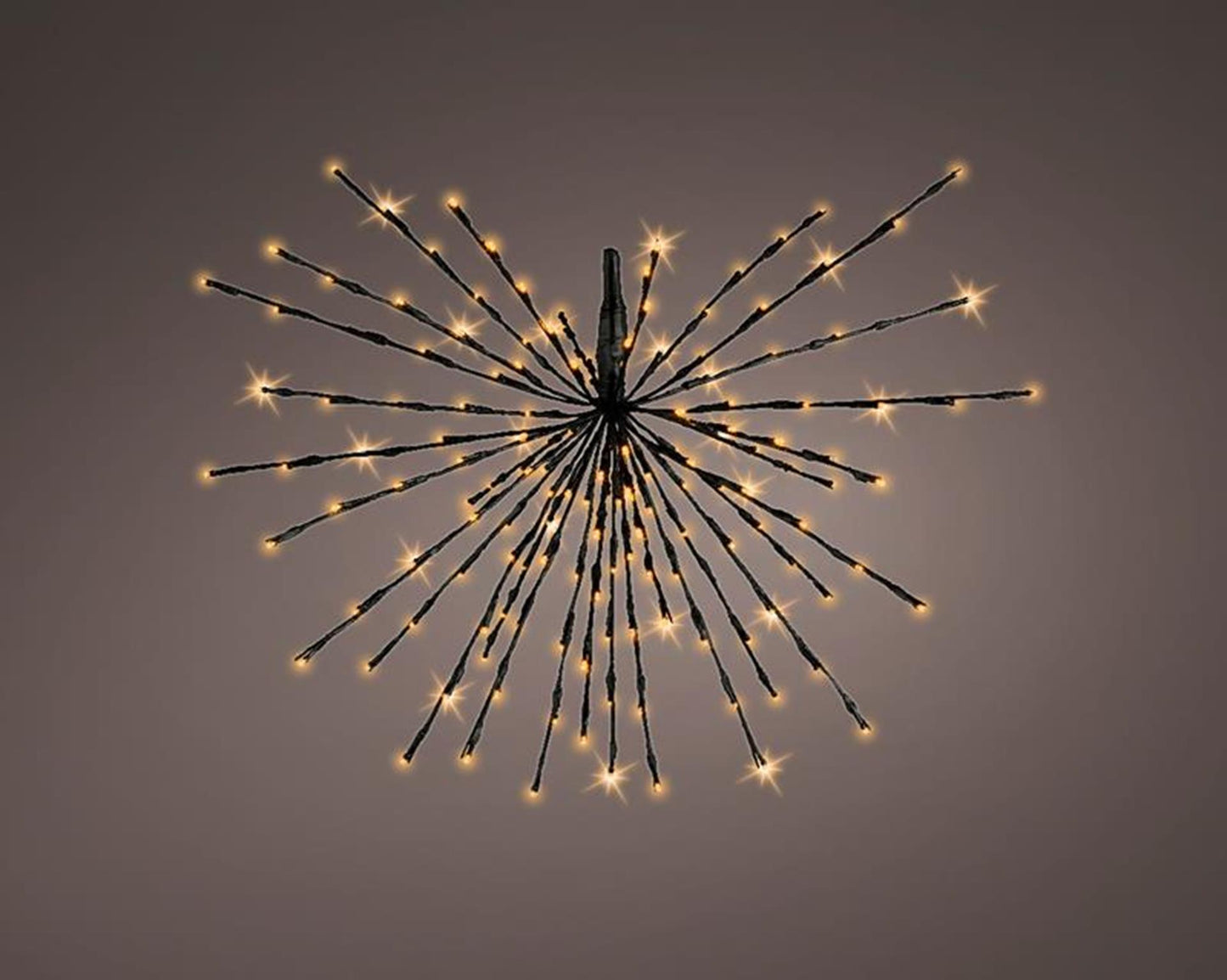 Lumineo kerstverlichting poolster 45cm-72l
