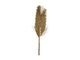 Dijk natural collections palmblad naturel 28x1.3x99cm wanddeco