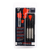 Longfield darts nickelsilver steeltip 24 gram in kunststof etui