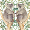 Kaart+envelop koalaberen. 16x16 cm