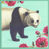 Kaart+envelop pandabeer. 16x16 cm | 6 stuks - afbeelding 1