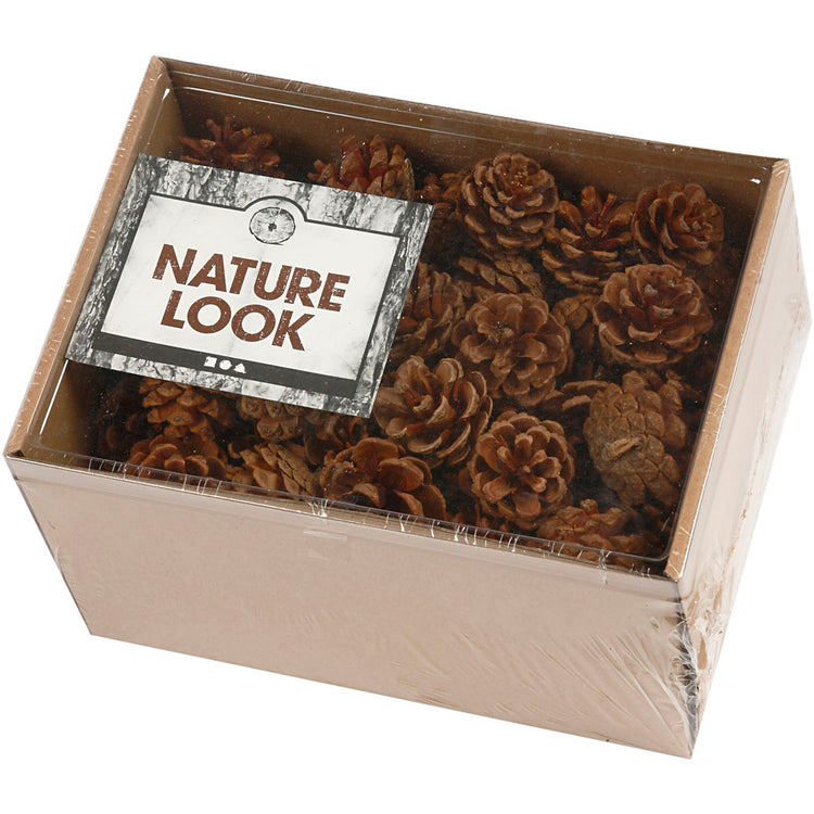 Creativ company dennenappels - natuurlijk materiaal - 500 gr
