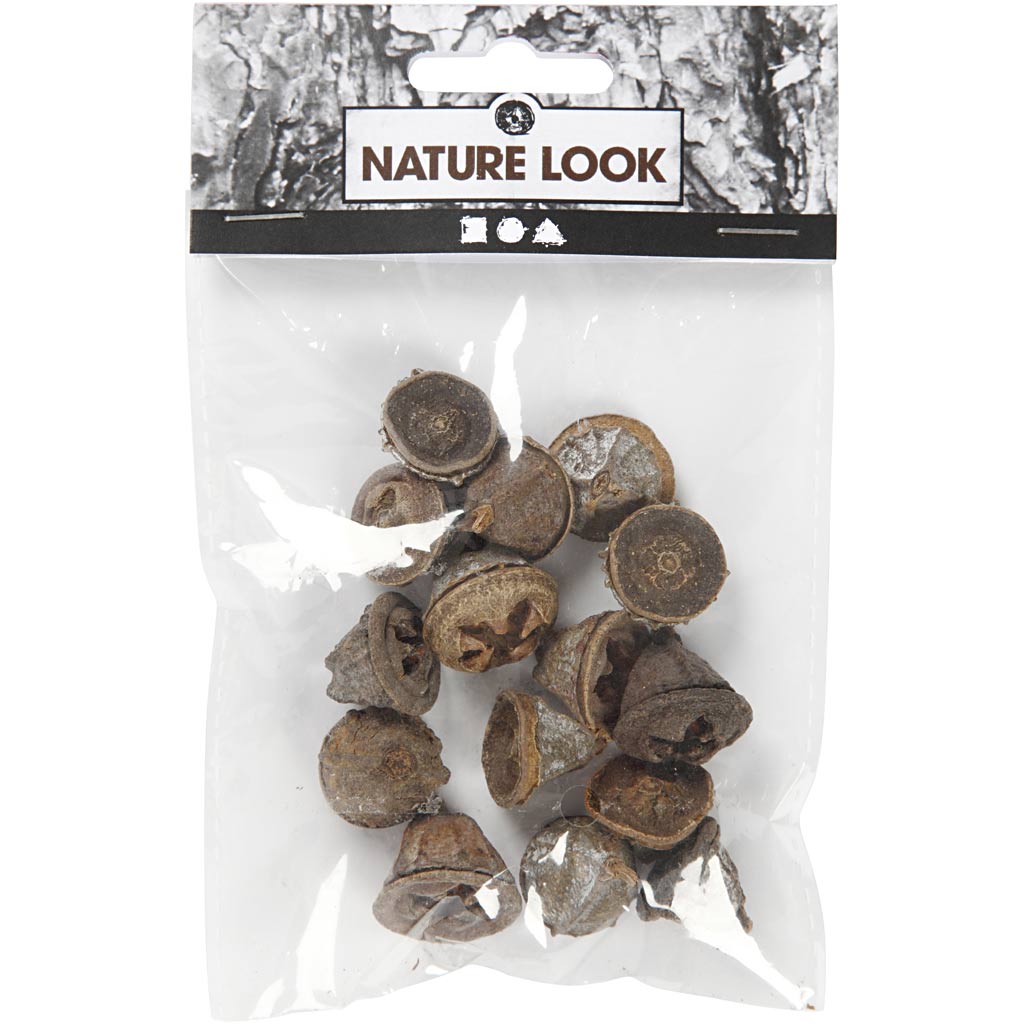 Creativ company larikskegels, 25 gram