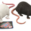 Stretch rat 18 cm. 2 assortie. 3+