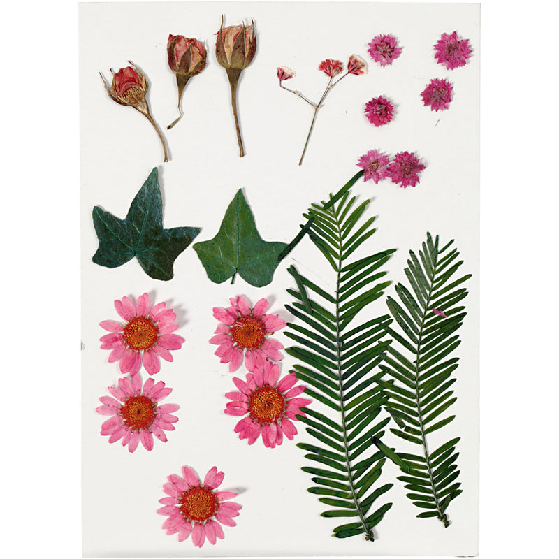 Creativ company https: www.cchobby.nl gedroogde-bloemen-en-bladeren-ca-19-stuk-lichtrood-1-doos
