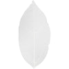Https: www.cchobby.nl skeleton-leaves-l-6-8-cm-wit-20-stuk-1-doos