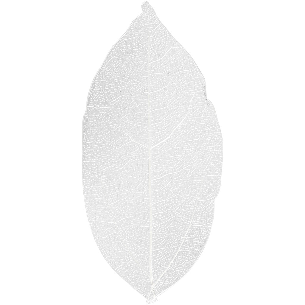Https: www.cchobby.nl skeleton-leaves-l-6-8-cm-wit-20-stuk-1-doos