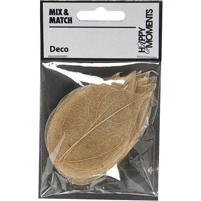 Https: www.cchobby.nl skeleton-leaves-l-4-5-8-cm-naturel-20-stuk-1-doos