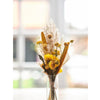Dijk natural collections brievenbuspakket droogbloemen 36x3cm