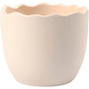 Http: www.cchobby.nl bloempot-h-6-3-cm-d-7-5-cm-wit-24-stuk-1-doos