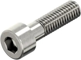Ck-schroef bzk rvs m8x100 d912 | 50 stuks