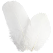 Https: www.cchobby.nl ganzen-veren-rond-l-5-8-cm-ca-70-stuk-wit-3-gr-1-doos - afbeelding 1