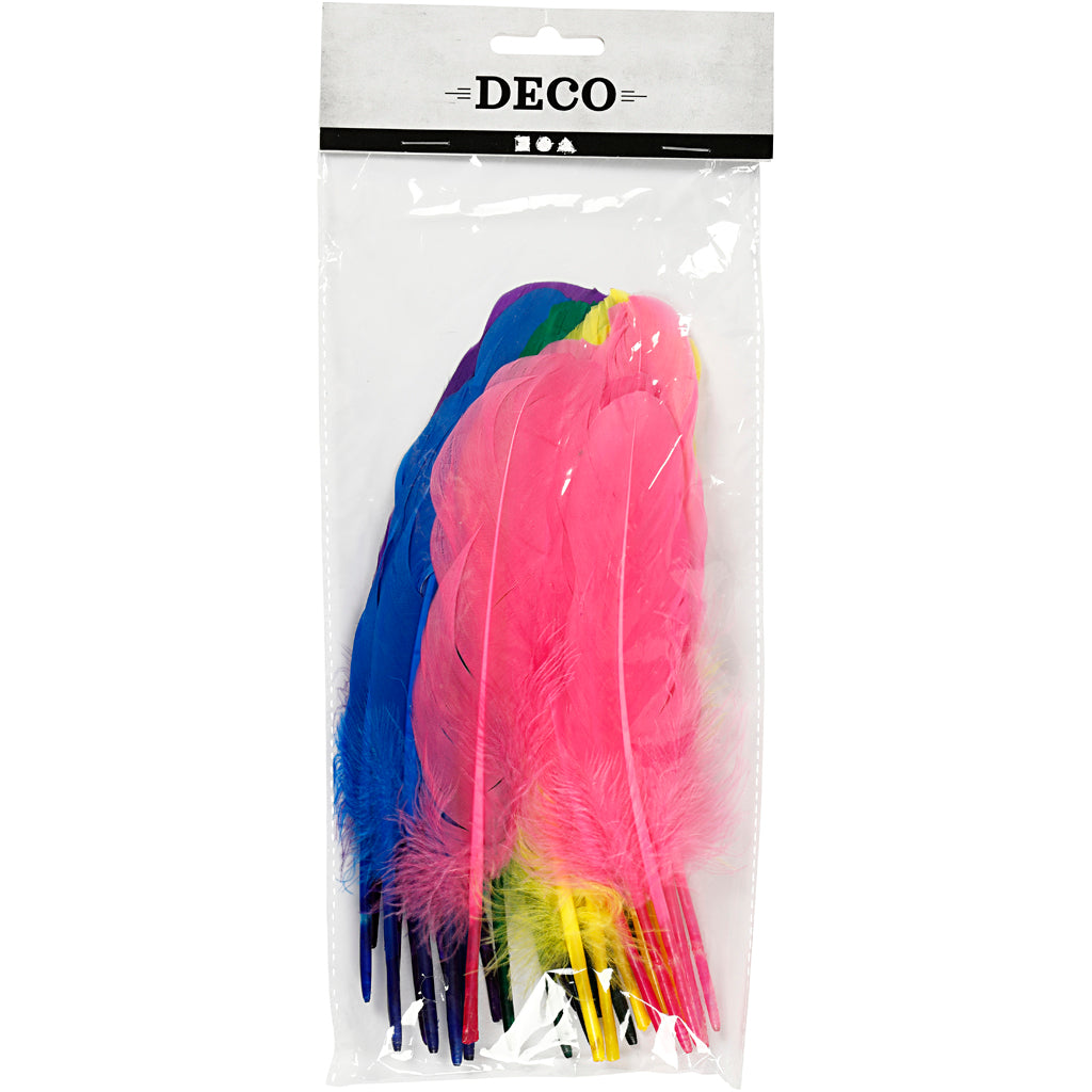 Https: www.cchobby.nl veren-l-20-cm-diverse-kleuren-36-stuk-1-doos