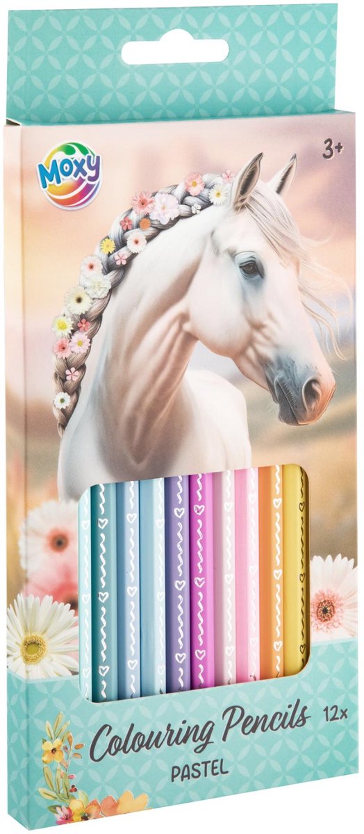 Merkloos sans marque kleurpotloden pastel - 12st.