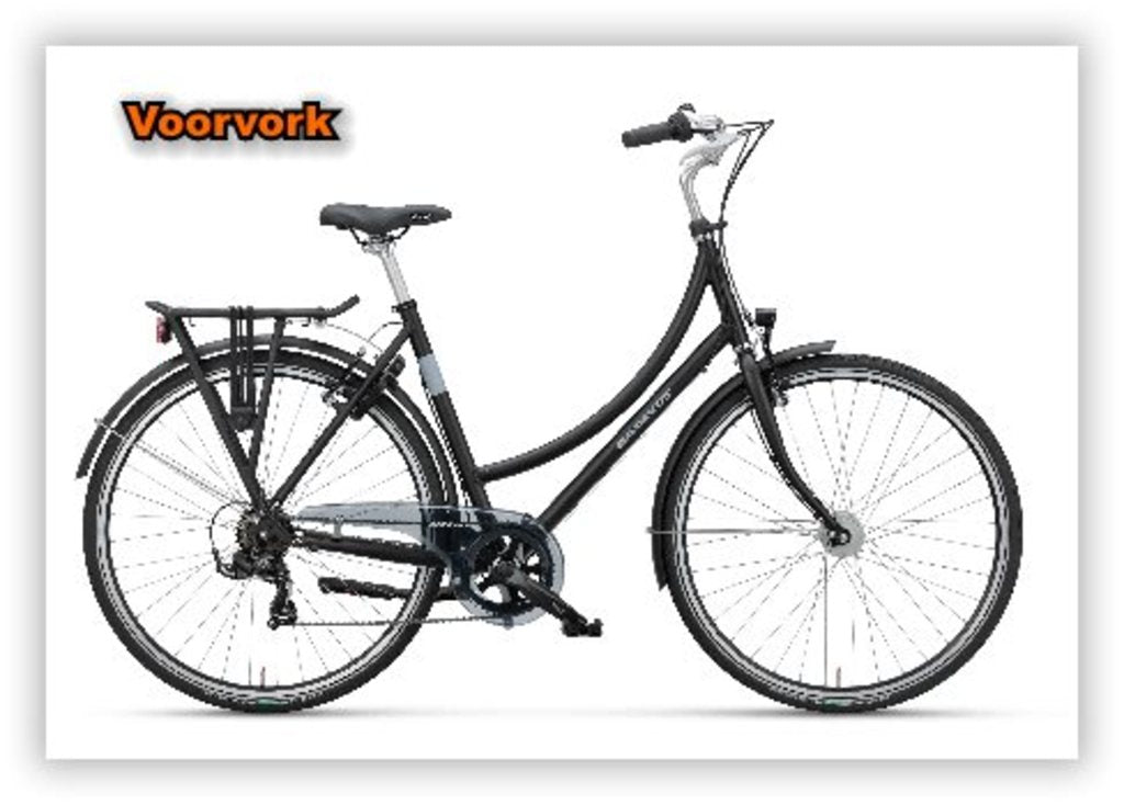 Batavus voorvork+cl (18178) 1 zwart-mat lengte=247