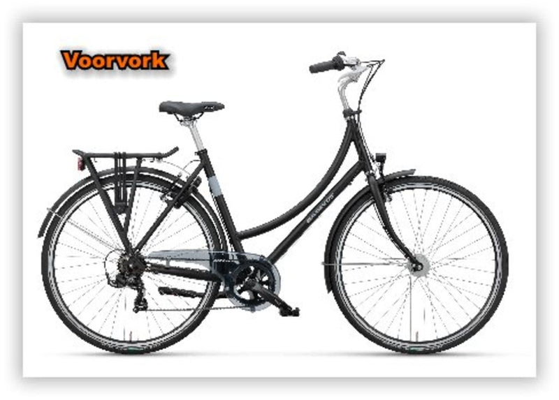 Batavus voorvork+cl (18178) 1 zwart-mat lengte=247