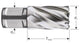 Rotec kernboor hss silver-line 19.0mm sl30 weldon