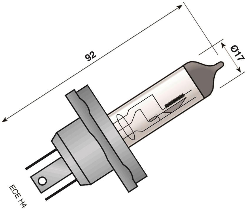 Spahn koplamp gloeilamp headlight bulb 6v 60 55w p45t